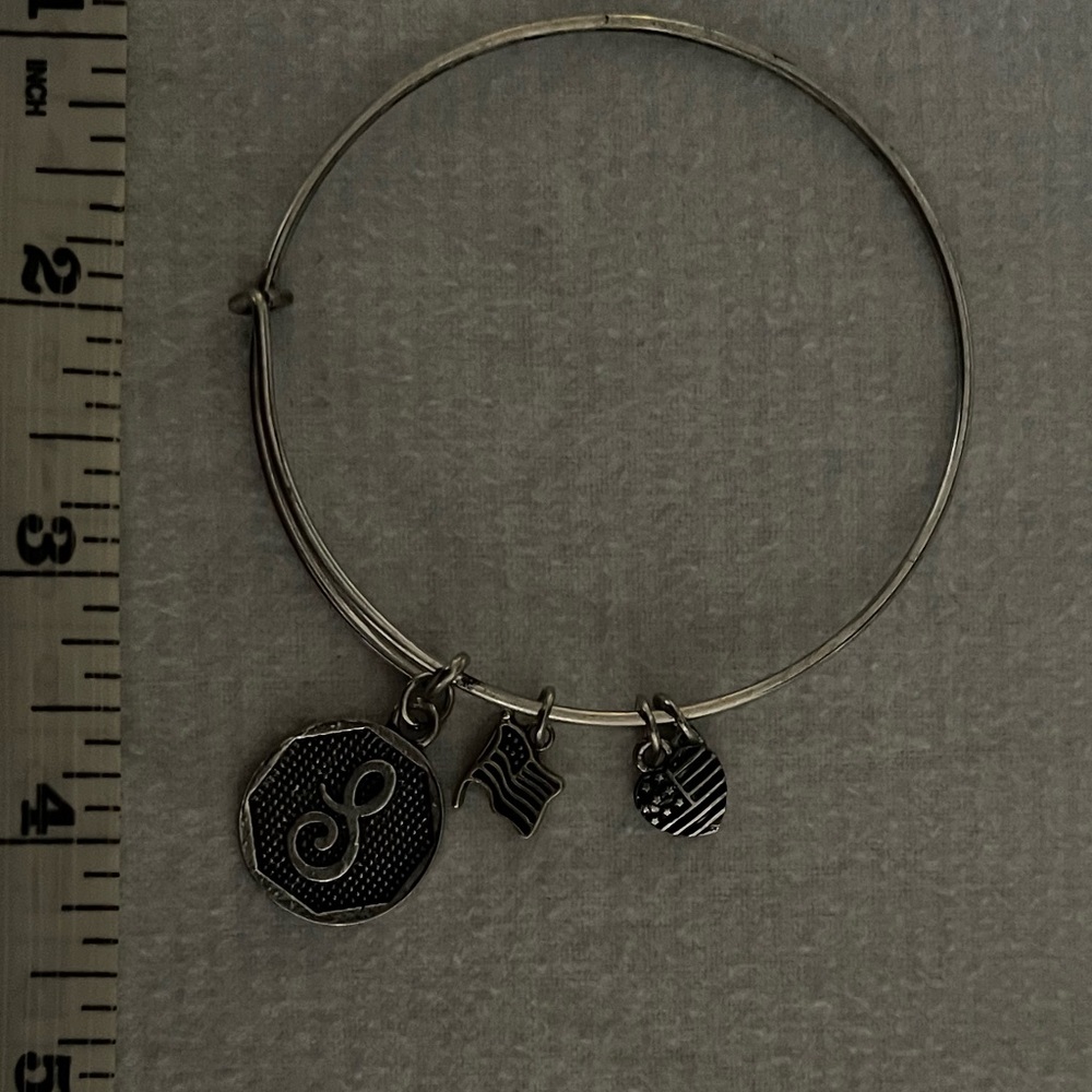 Alex and Ani energy & American flag charm bracelet